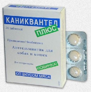 Каниквантел +, антигельминтик для кошек и собак, 24 таблетки.